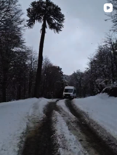 Imagen de instagram 6